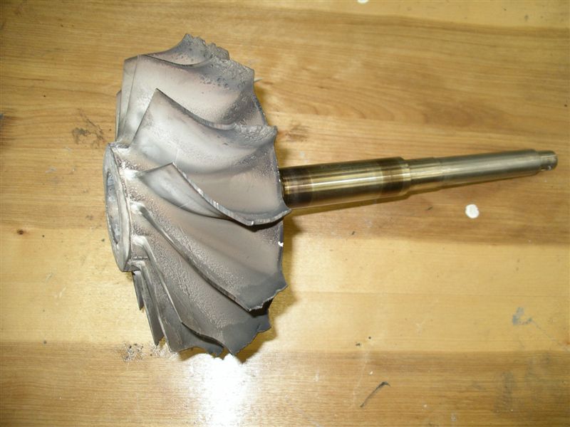 IMGP2834.JPG